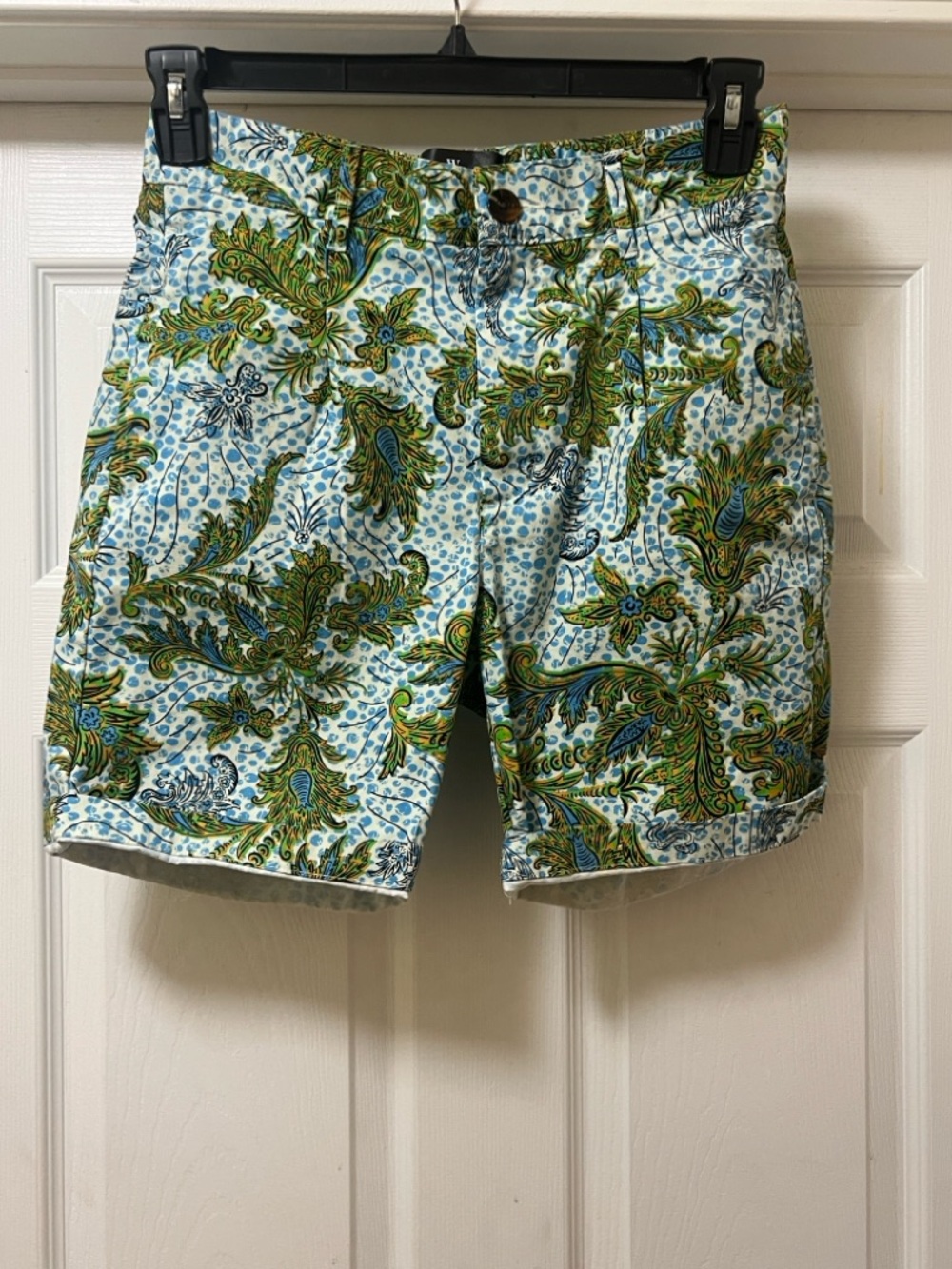 Men's Flat Front Paisley Print Shorts - Green/Blue